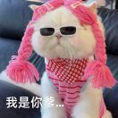 谭诗宇