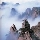 用户头标