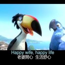 qinglongwjq's Avatar
