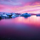 用户头标