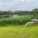 拼搏离幸福更近