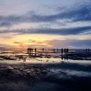 Amost-秀琴曲谱网