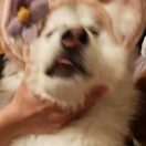 技术总监