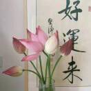 吹*