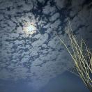 用户39612846的头像-熵减岛