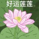 用户头标