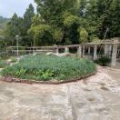 wx_建国15