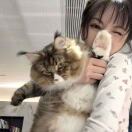 曼彻斯特求租