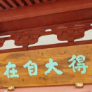 陈思齐