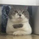 ૡ҉ H :Ö: H೨҈的头像-博士钣金 - www.bsbanjin.com