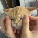 求你放老子一马的头像-音创社AI SonoCraft丨科技改变未来