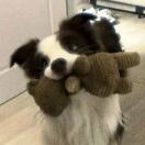 Yugo depot point转租&房东直租