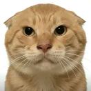 Chapter White City转租&房东直租