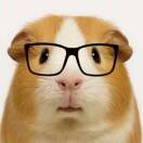 送青云的头像-音创社AI SonoCraft丨科技改变未来