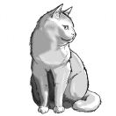 Driftzi的头像-心动未来iOS证书