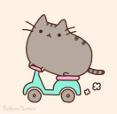 邢奕奕🍒