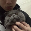 一条裤衩