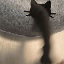 ？