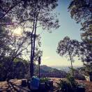 Profile picture of 21077955