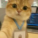 Hub转租&房东直租