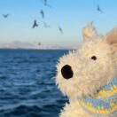 .xxxc - 校园论坛