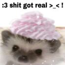 用户56591633的头像-秀琴曲谱网