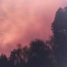 是小刘的头像-cg男孩