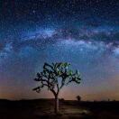 DanielF的头像-秀琴曲谱网