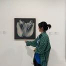 ANOVA uCity Square转租&房东直租