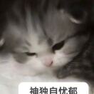 世纪