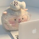 用户头像