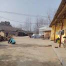 誓言的头像-博士钣金 - www.bsbanjin.com