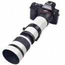 夏至泽生｜SummerSolstice