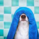 十三的头像-创薯资源