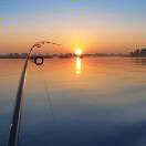 哩思糖的头像-SW 兴趣使然