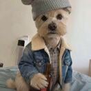 Hope+Flower转租&房东直租