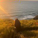 1047 Commonwealth转租&房东直租