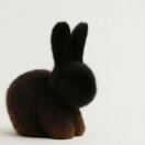 Viridian转租&房东直租