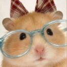 Abodus Student Living— Martha Street Apartments转租&房东直租