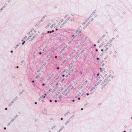 Vita Student Edinburgh 转租&房东直租