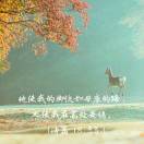 夜泊听雨