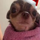 666有挂的头像-松纸工作室博客