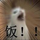 小C还在睡