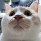 cute's Avatar