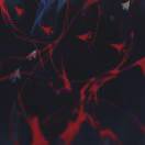 Myosotis-silvatica的头像-天机阁