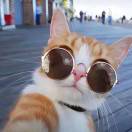 岁岁年年的头像-博士钣金 - www.bsbanjin.com