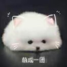 扶老奶奶闯红灯的头像-拟人圈