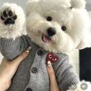 妮慧言饭店的头像-澳门国际