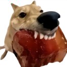 买水果小靓仔的儿子