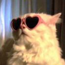 ㅤㅤs ⁴¹³⁴的头像-创薯资源